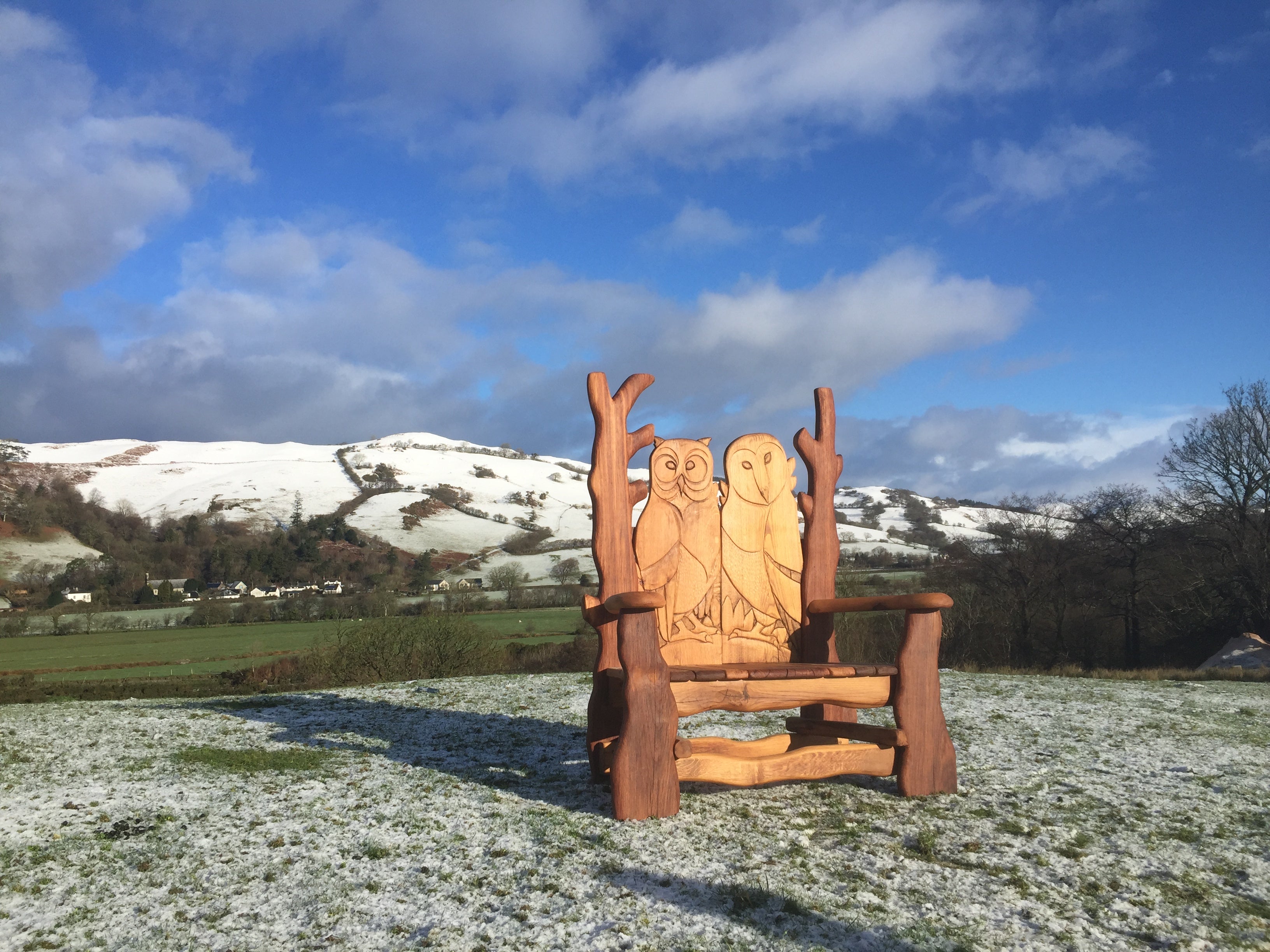 Wooden bench with owl carvings in snowy field