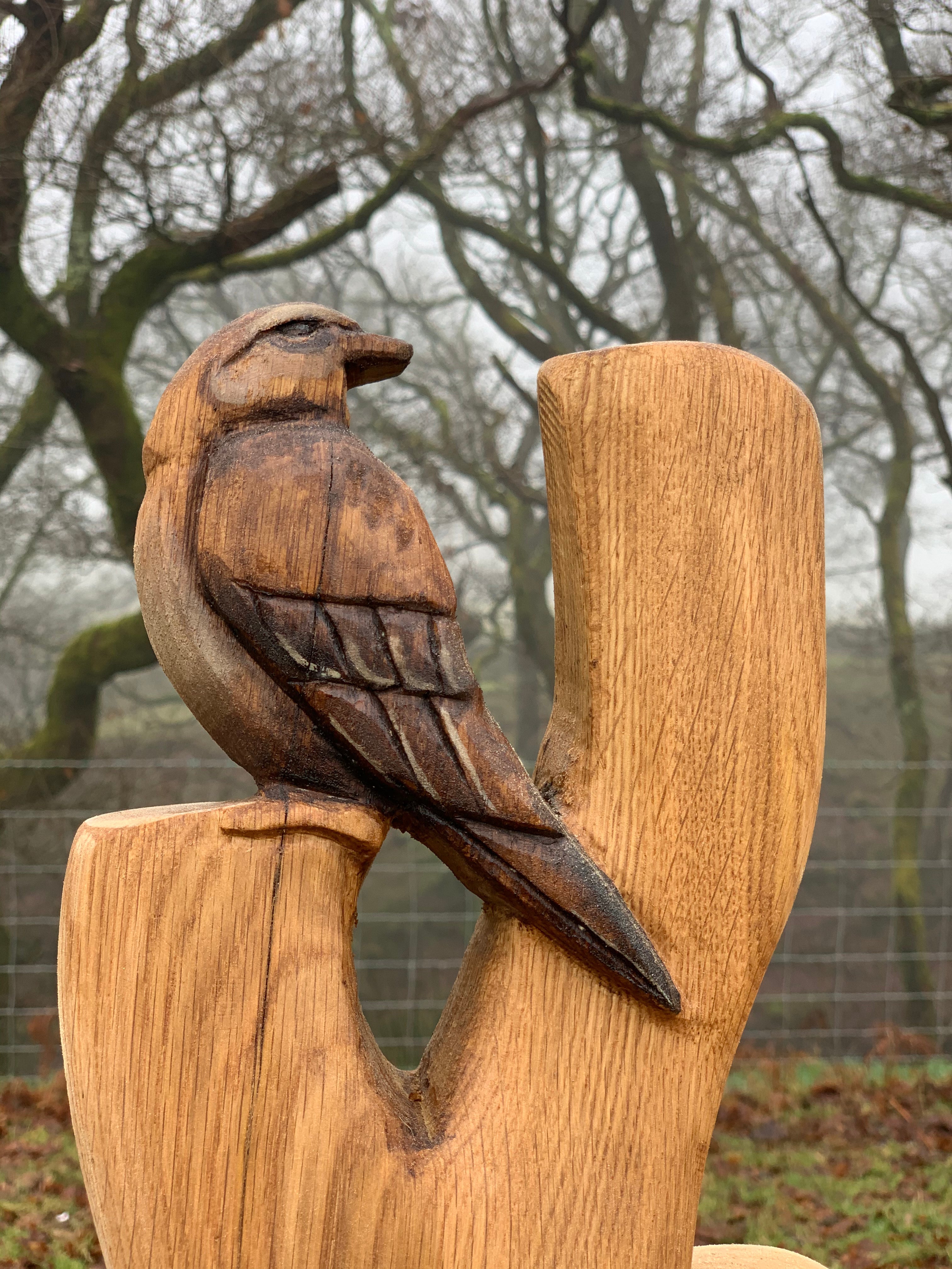 Bird carving on wooden bench in misty forest