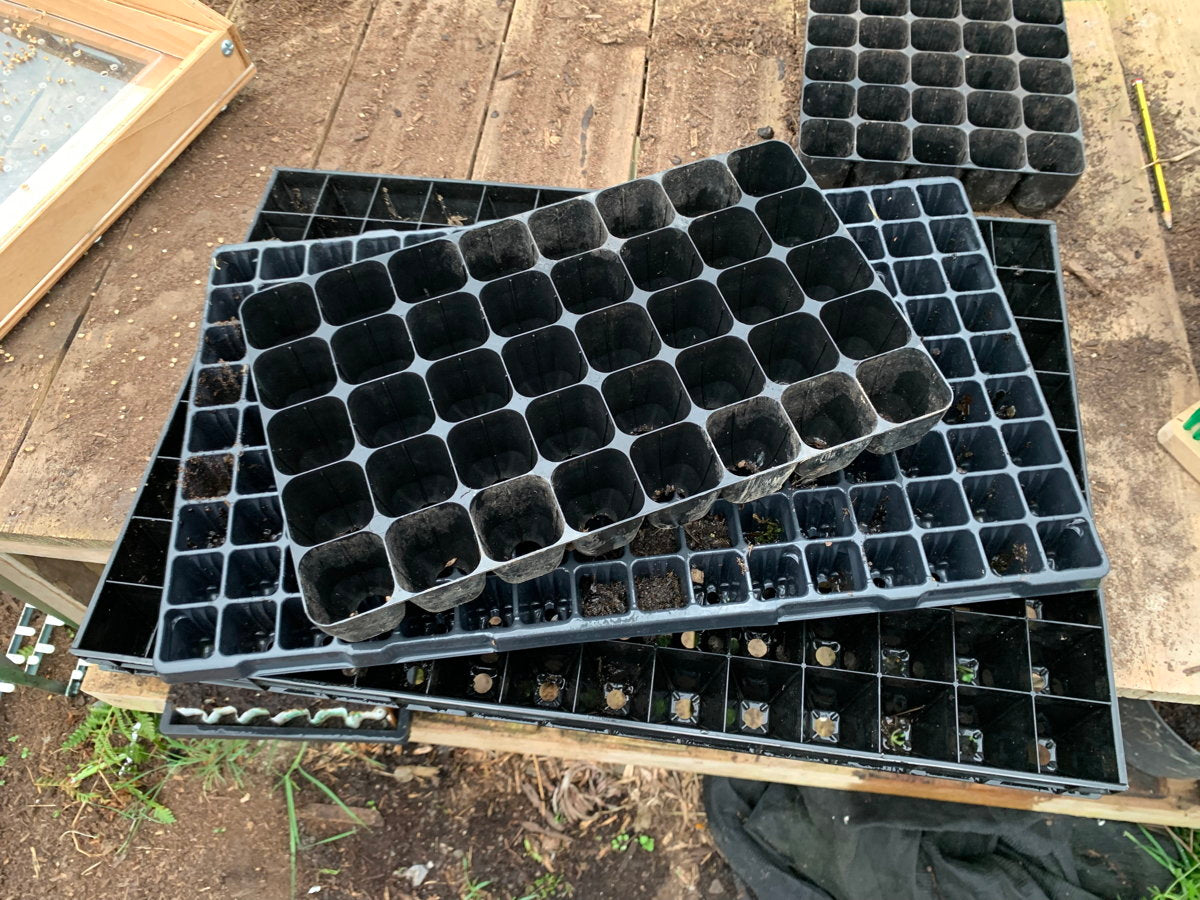 Stacked seedling trays with compartments